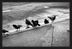 Urban Ritual
