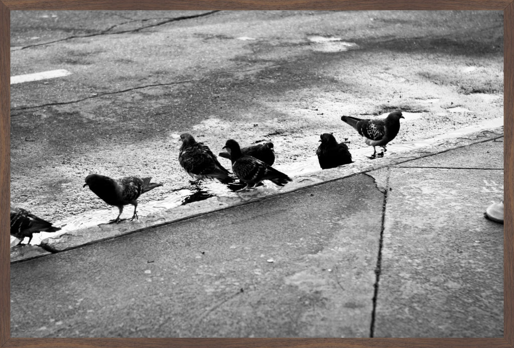 Urban Ritual