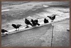 Urban Ritual