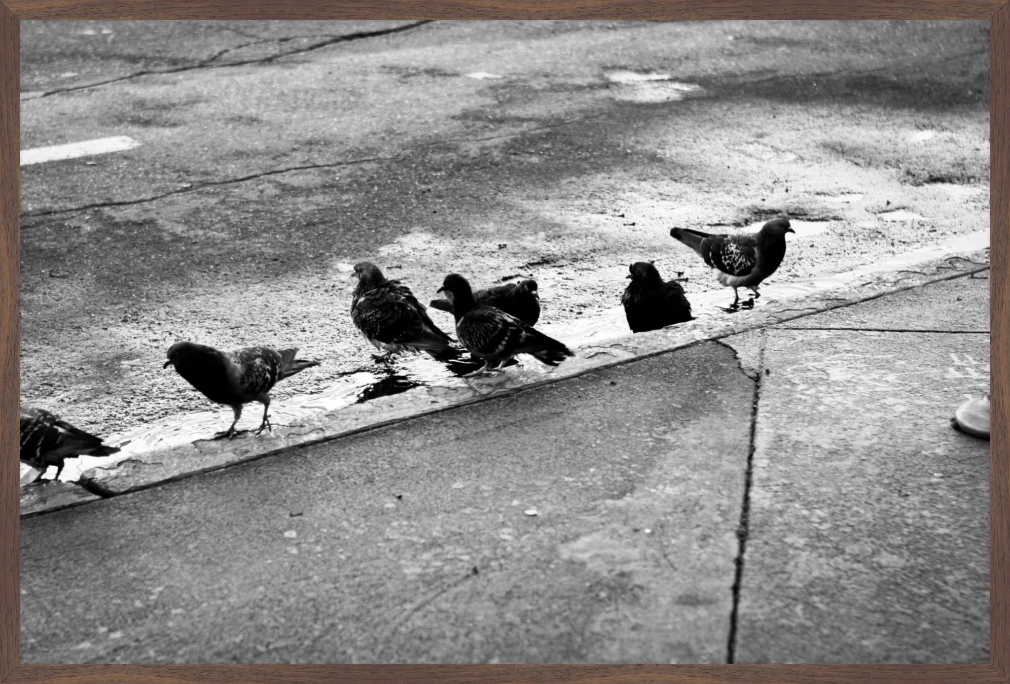 Urban Ritual