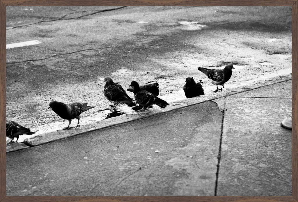 Urban Ritual