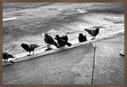 Urban Ritual