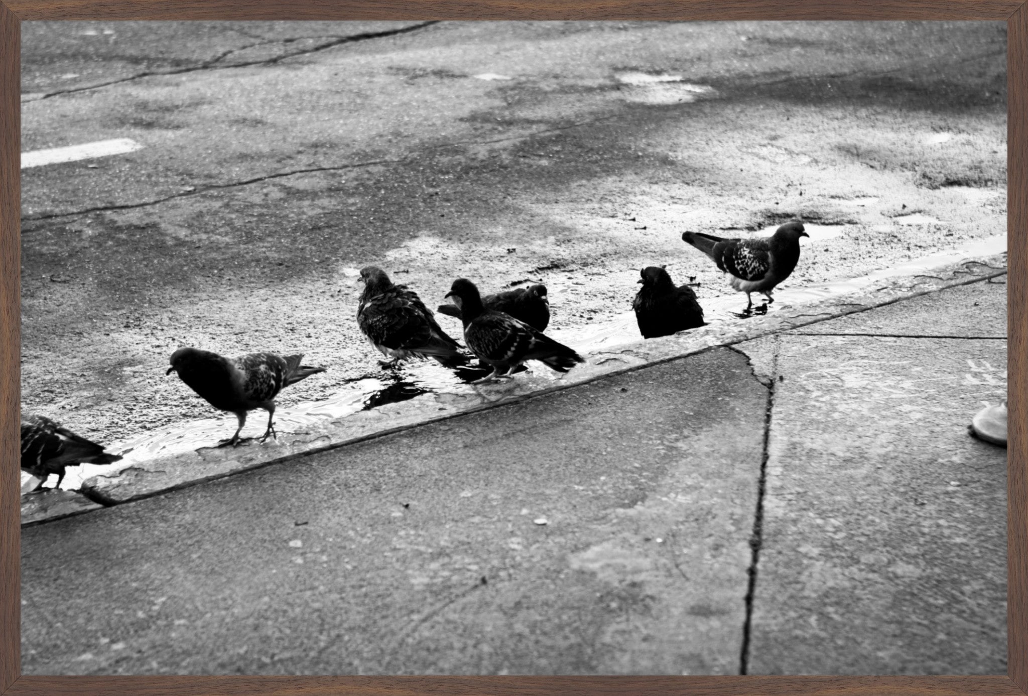 Urban Ritual