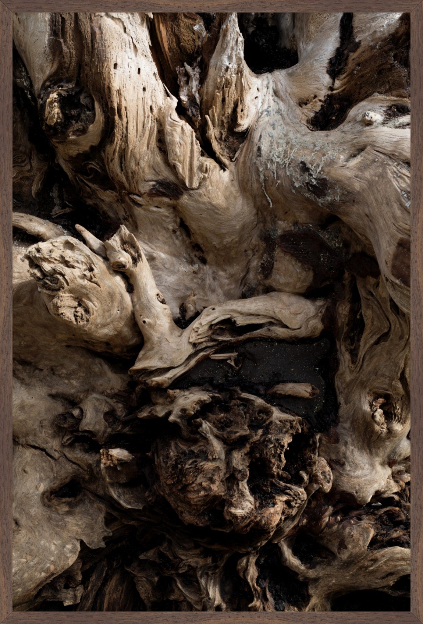Carved by Time
