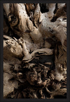 Carved by Time