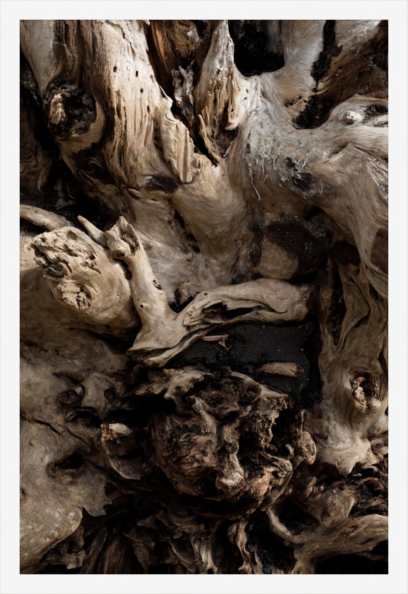 Carved by Time