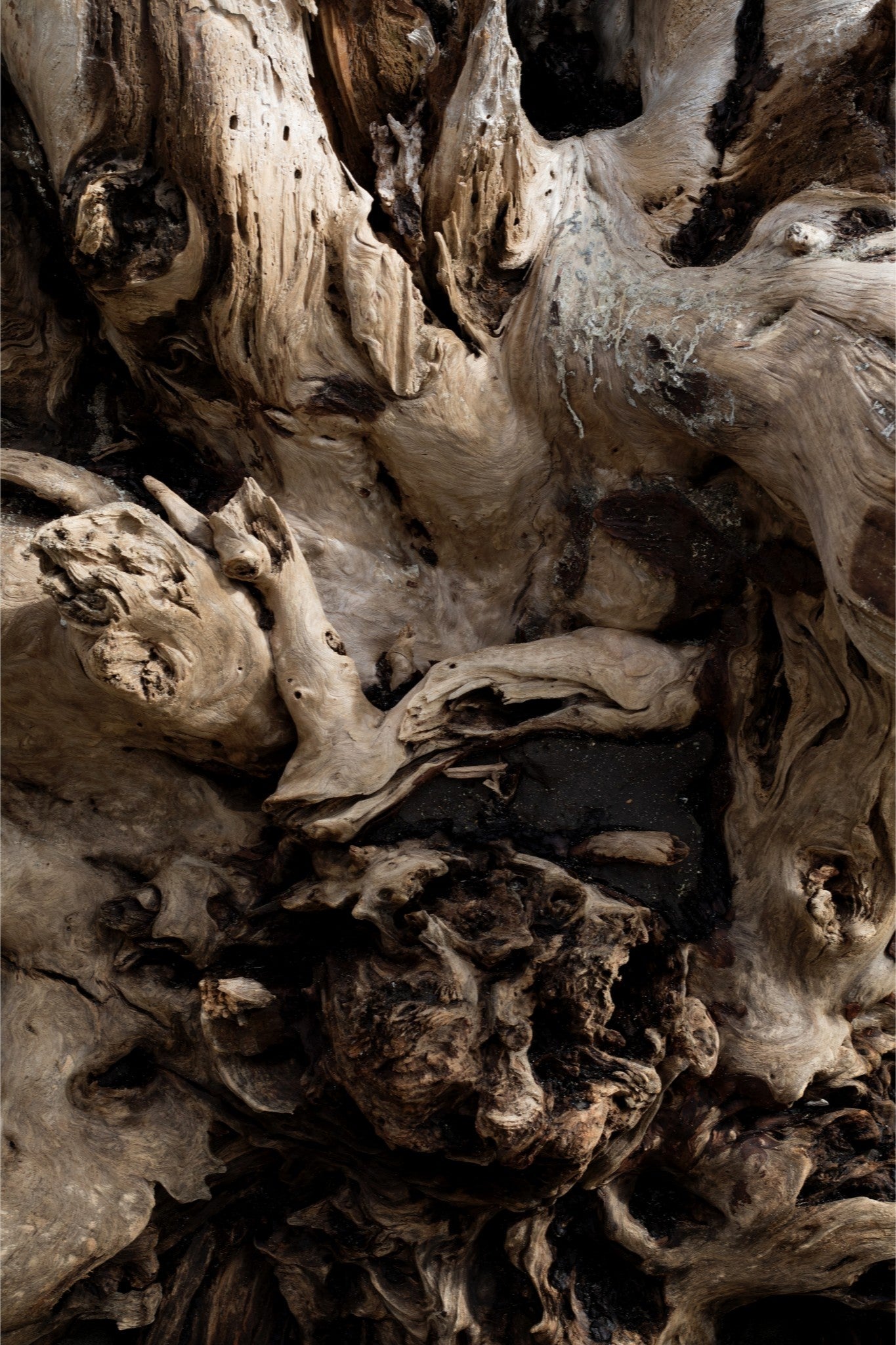 Carved by Time