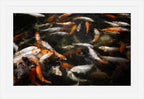 The Gathering Pond