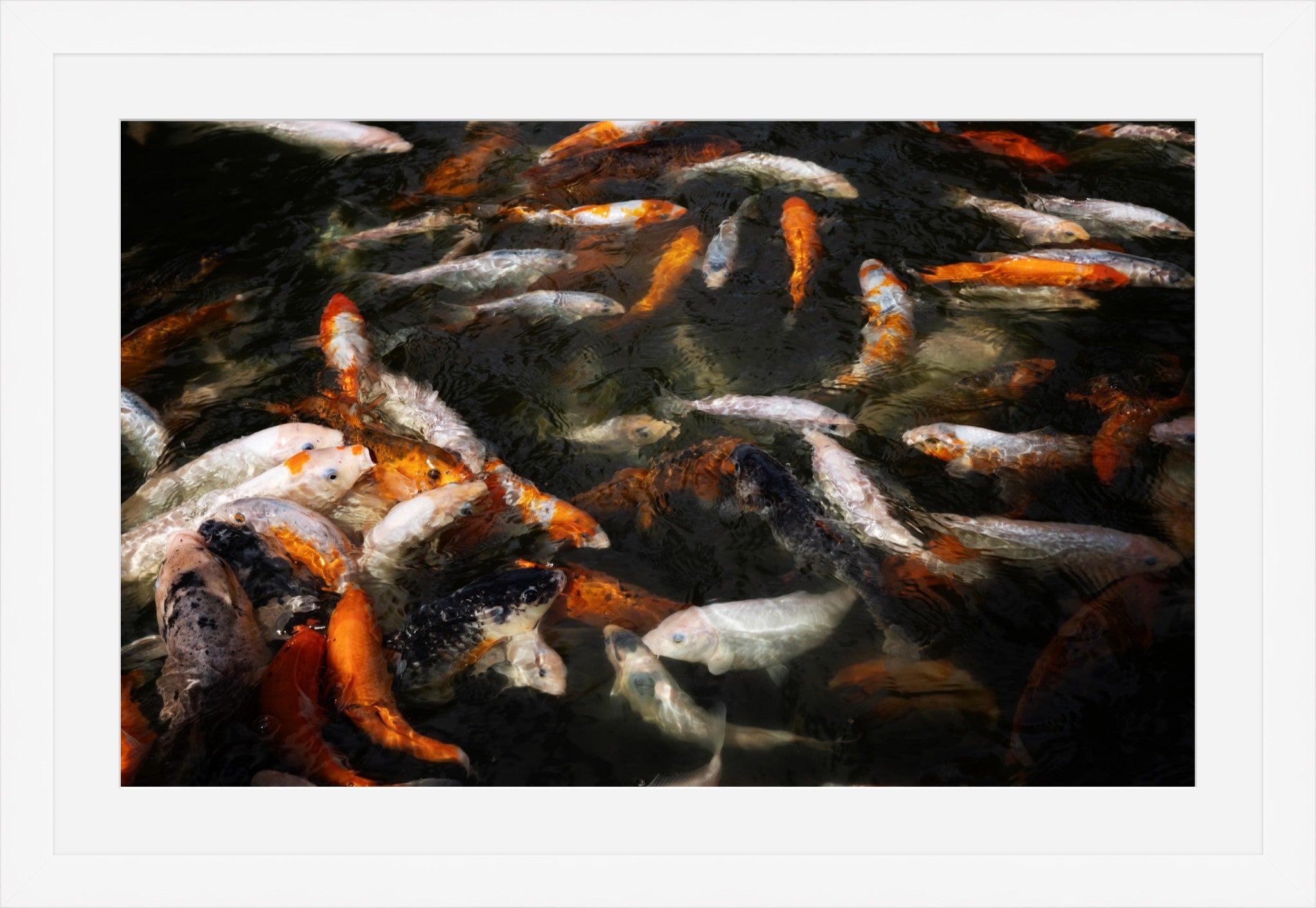 The Gathering Pond
