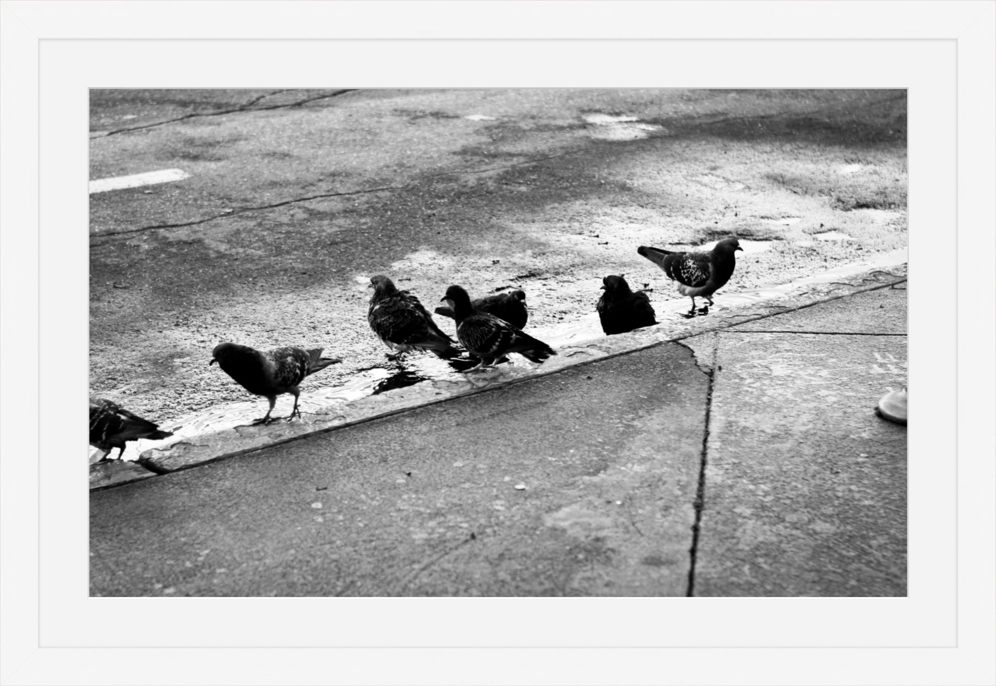 Urban Ritual