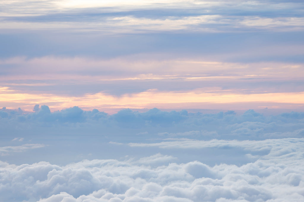 Whispers of Dusk