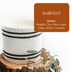 Luxury 3-Wick Soy Candle in Reusable Cement Vessel | Large Handmade Candle | 120 Hour Burn Time