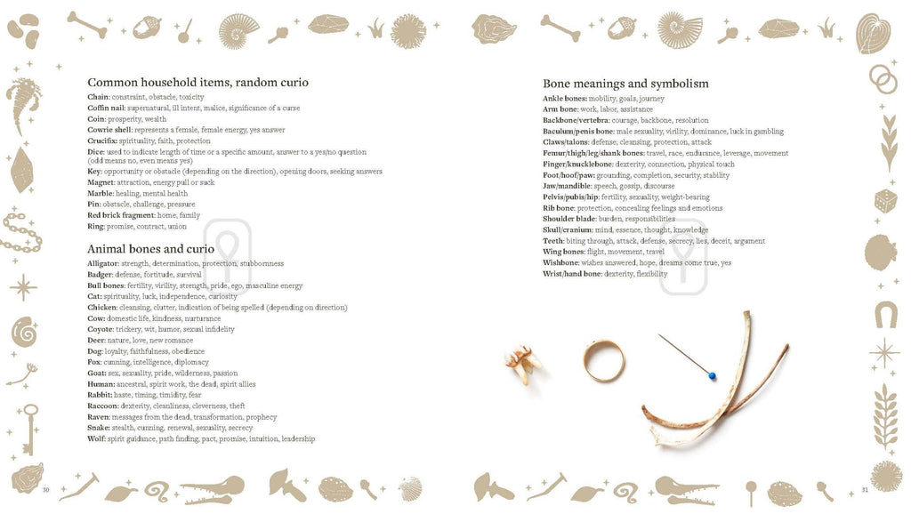 Brochure or book with bone meanings and symbolism, animal bones, and curios on a beige background.
