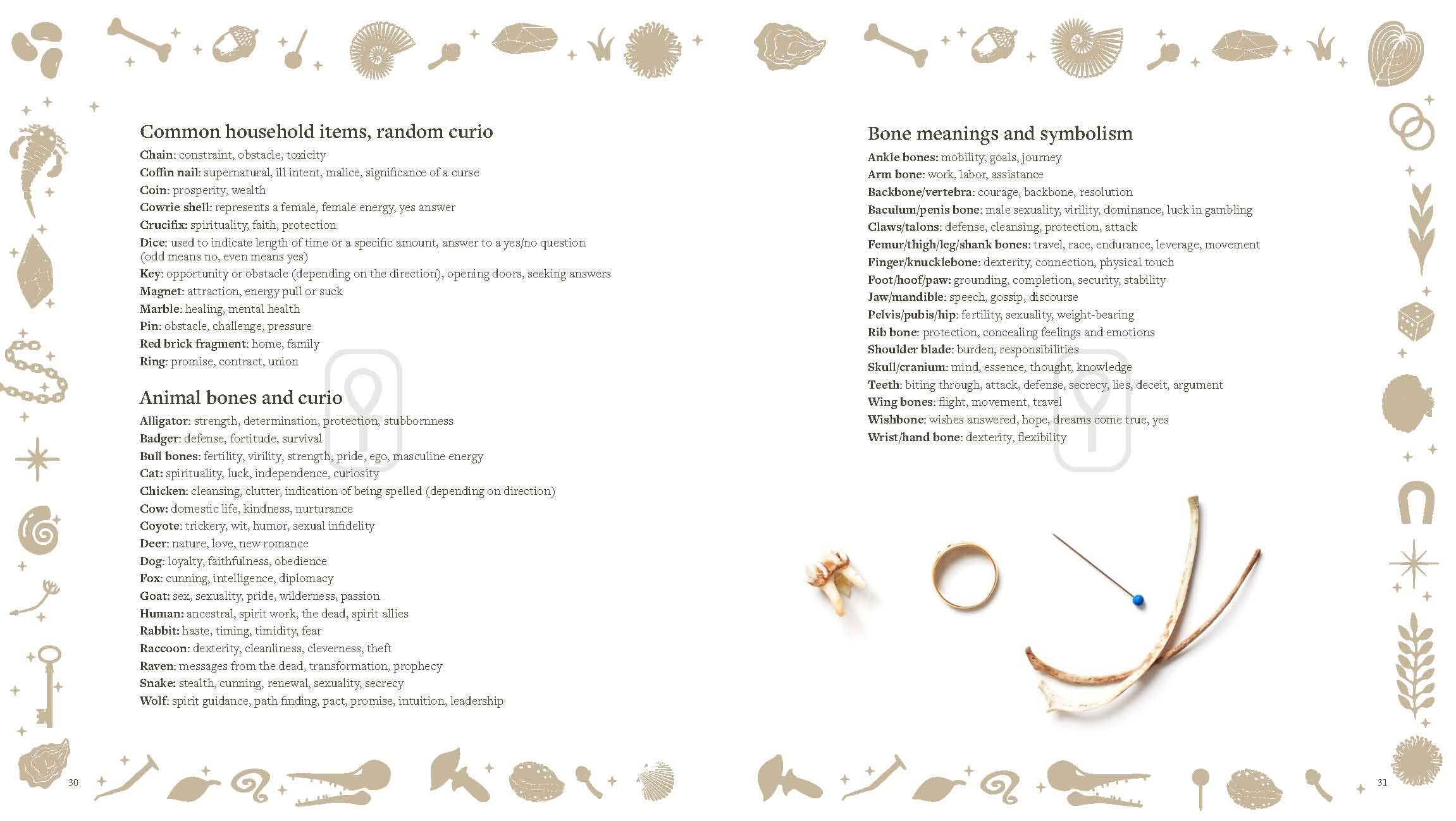Brochure or book with bone meanings and symbolism, animal bones, and curios on a beige background.