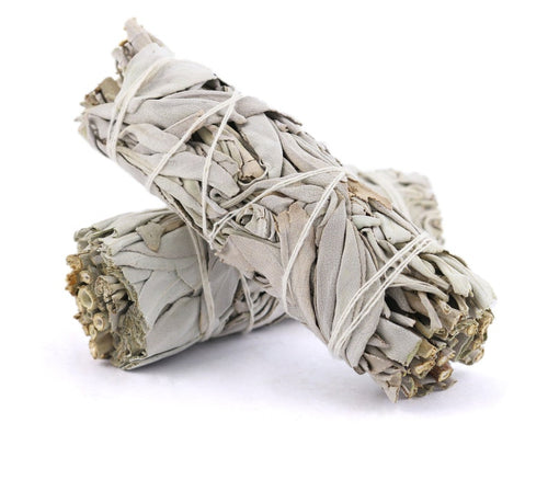 Two bundles of sage wrapped in white twine on a white background
