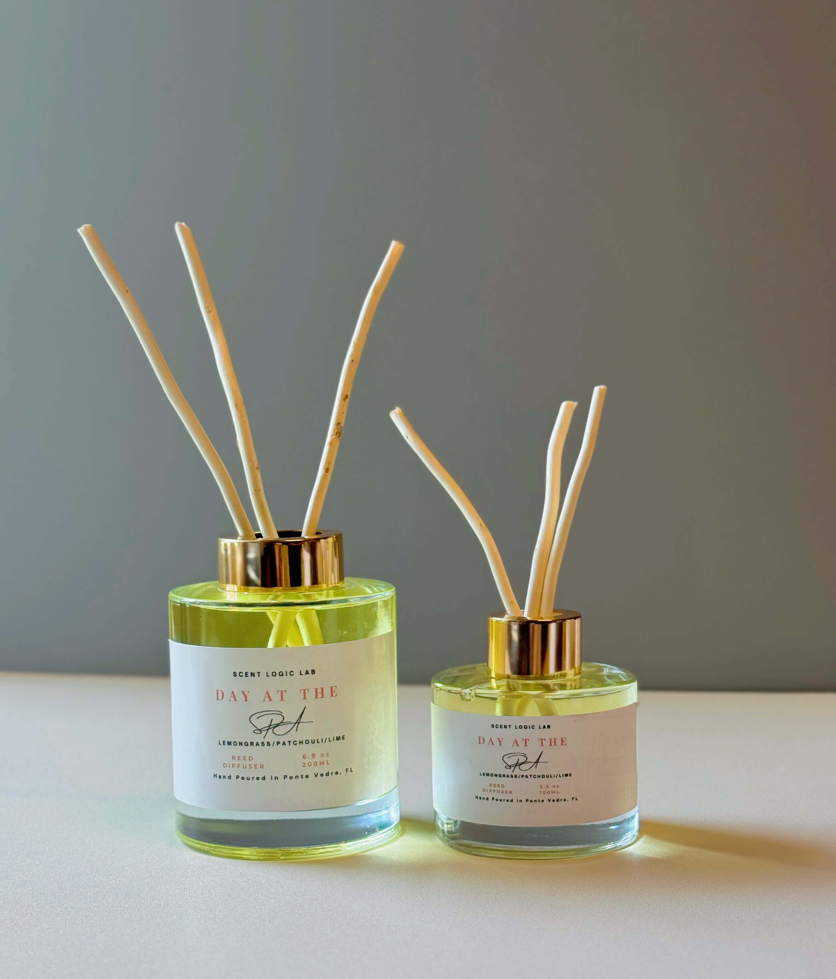 Day at the Spa Reed Diffuser-4