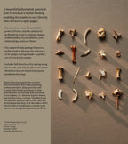 Collection of crystal and bone casting boards on a textured surface with descriptive text.